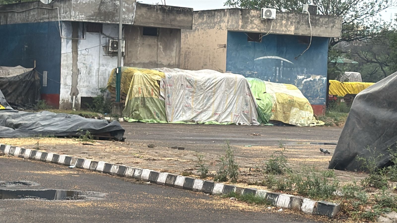 Adequate arrangements of tarpaulin made for storage of wheat in mandis due to bad weather: Deputy Commissioner.